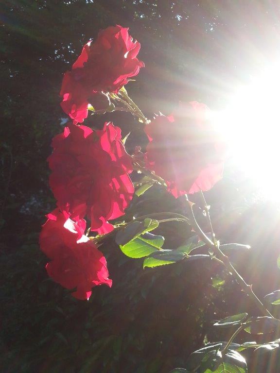 Energetische Hausreinigung