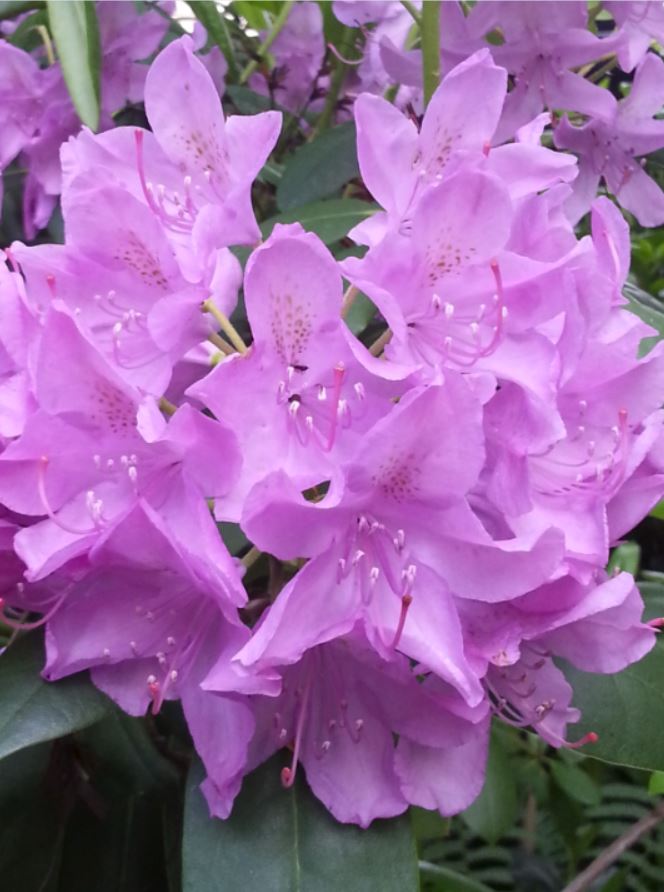 MEHR für die Selbsthilfe